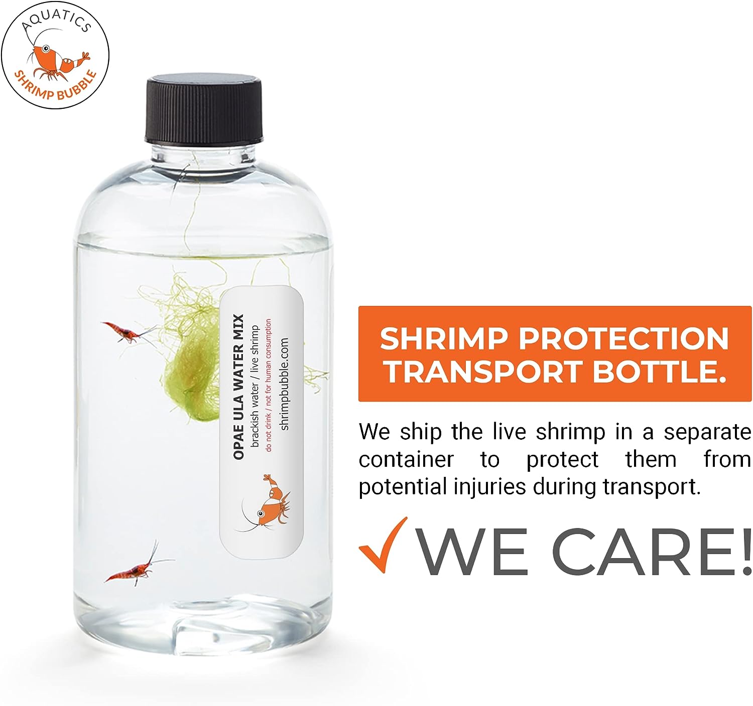 Shrimp Bubble Ecosystem - Duo