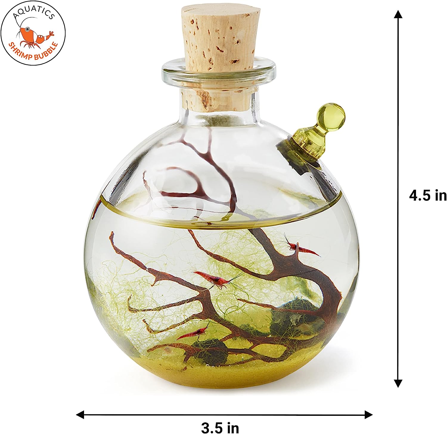 Shrimp Bubble Ecosystem - Duo