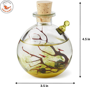 Shrimp Bubble Ecosystem - Duo