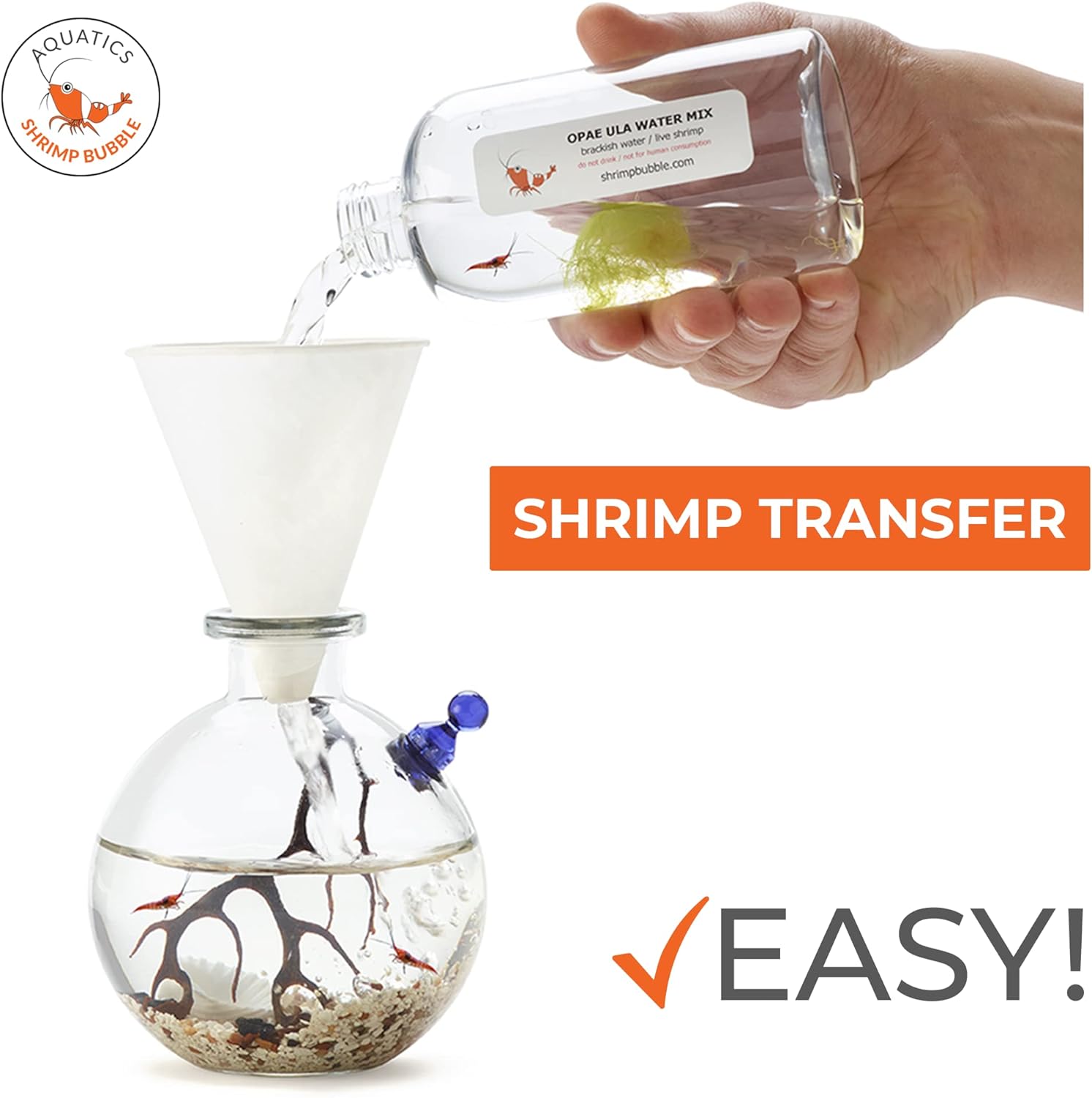 Shrimp Bubble Ecosystem - Duo