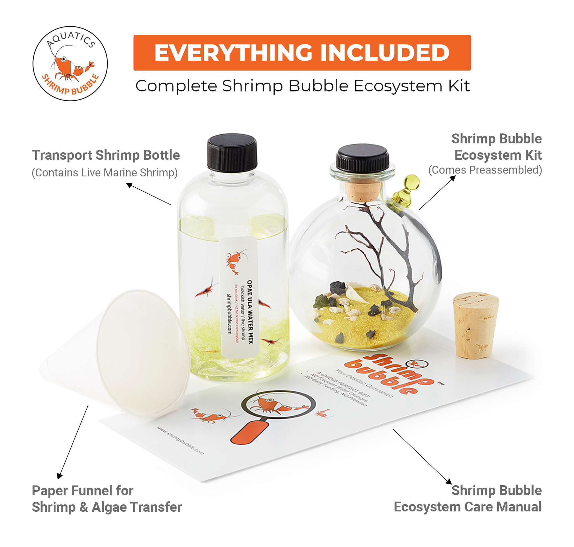 Shrimp Bubble Ecosystem