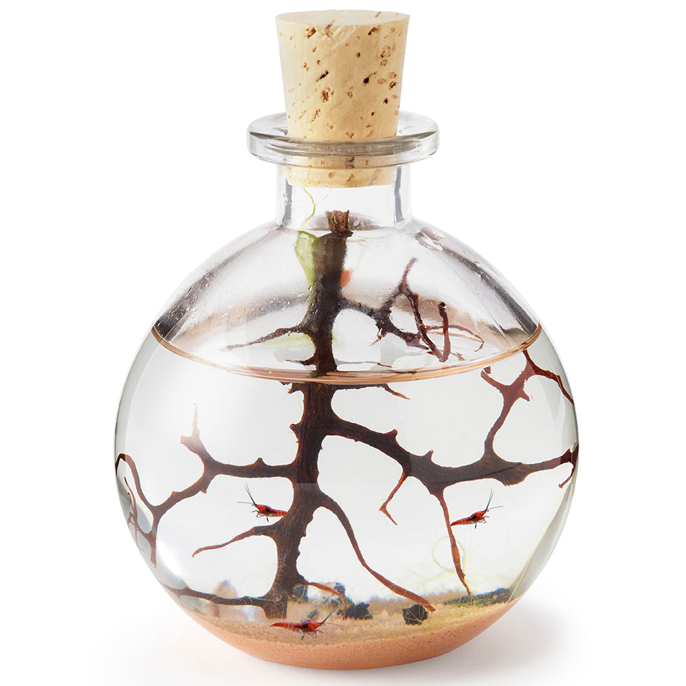 EcoSphere Pod with Self-Sustaining Sea Ecosystem