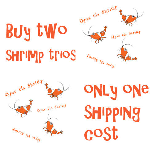 opae ula shrimp halocaridina rubra